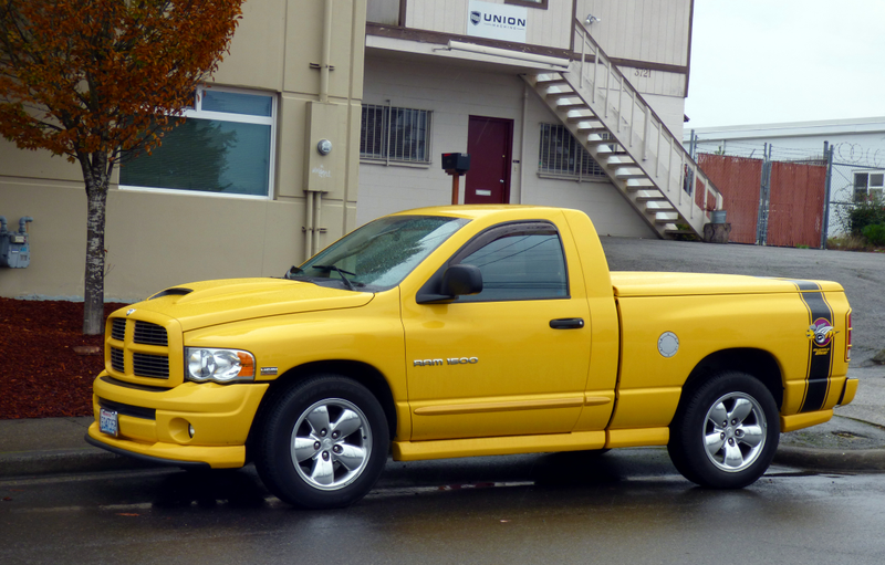 When was the last time you saw a Rumble Bee?